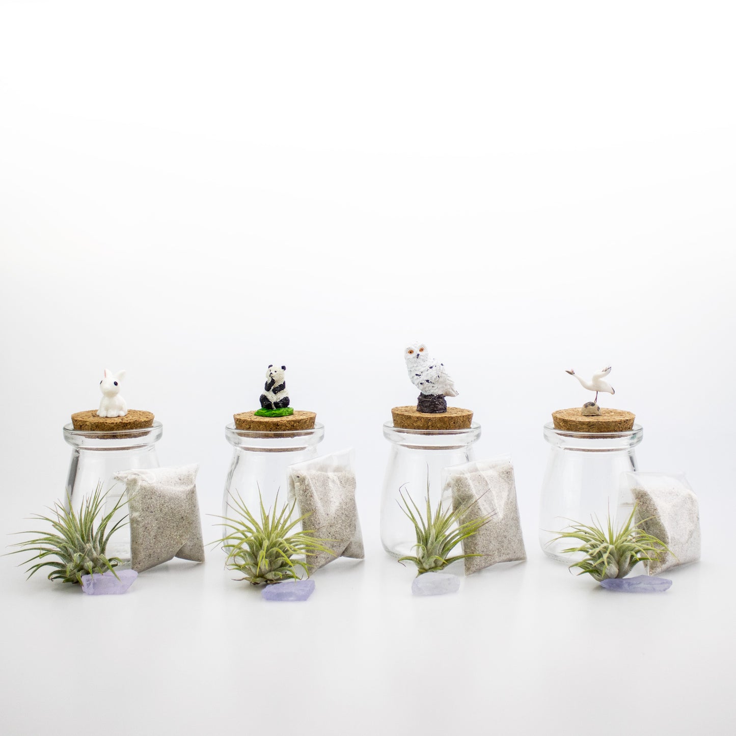 Mini Air Plant Terrarium with Animal Accent Figurine - Set of 12
