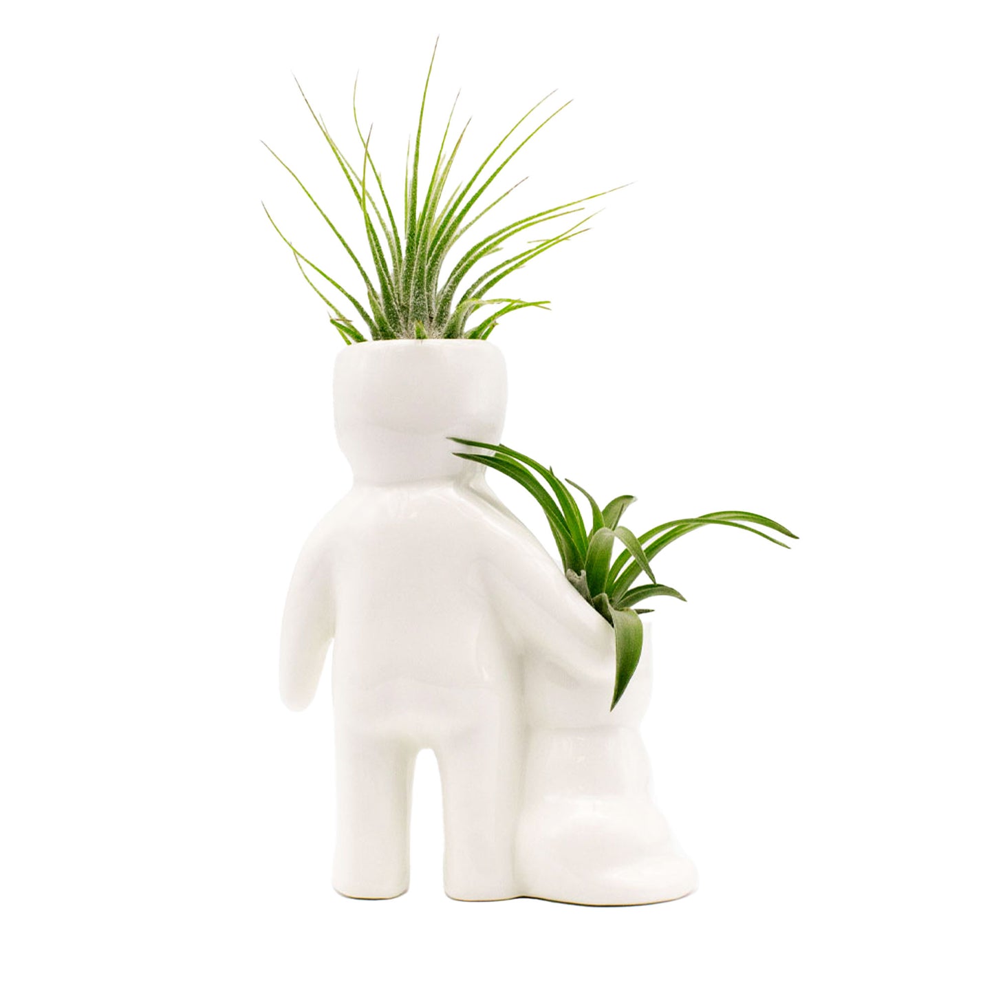 "Person With Cat" Air Head Complete Kit With Live Air Plant