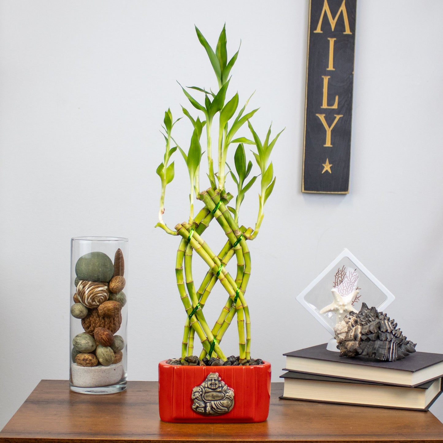 8-Stalk Trellis Lucky Bamboo Arrangement