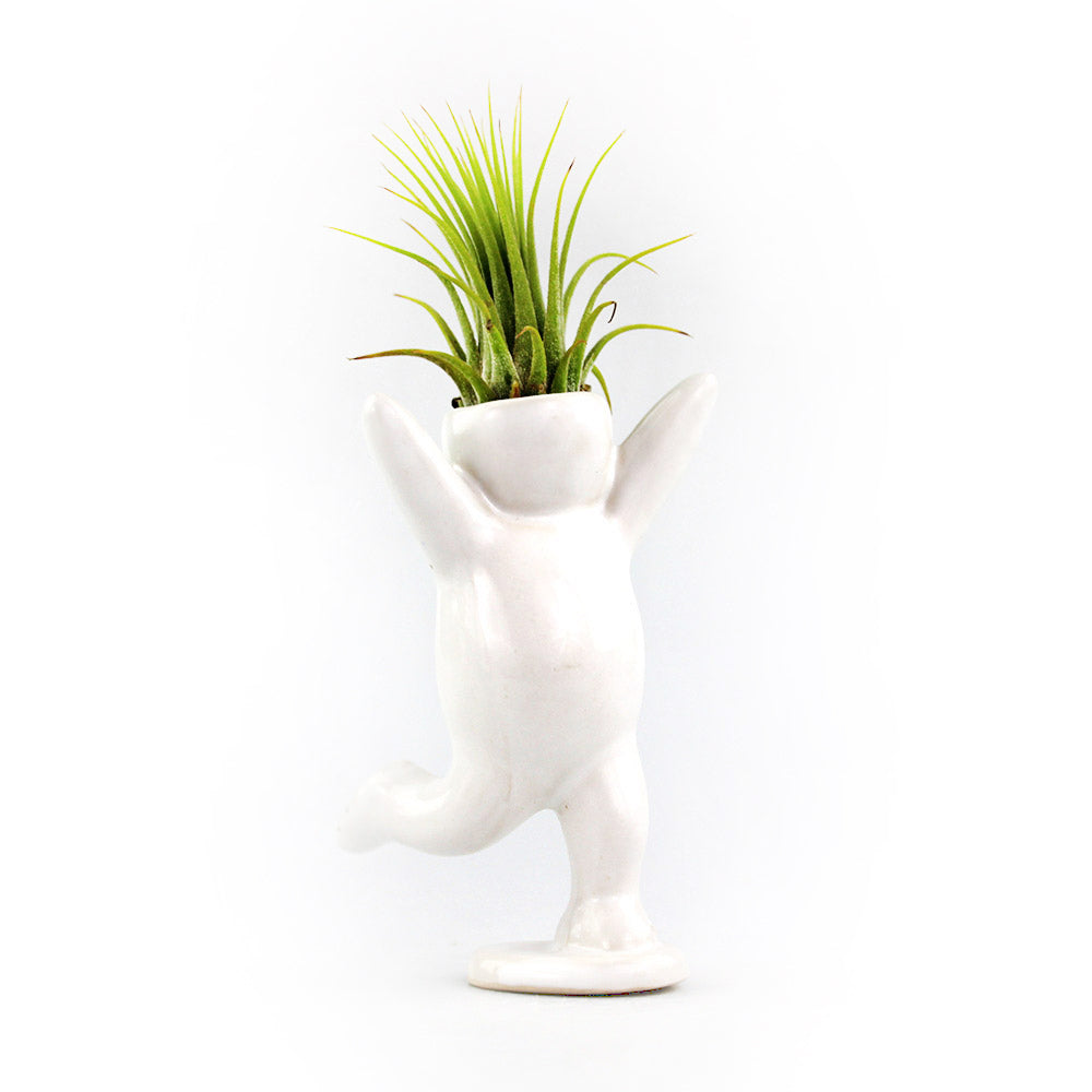 "Happy Cheering Person" Air Head White Ceramic Pot - Air Plant Holder, Succulent, Cactus Planter