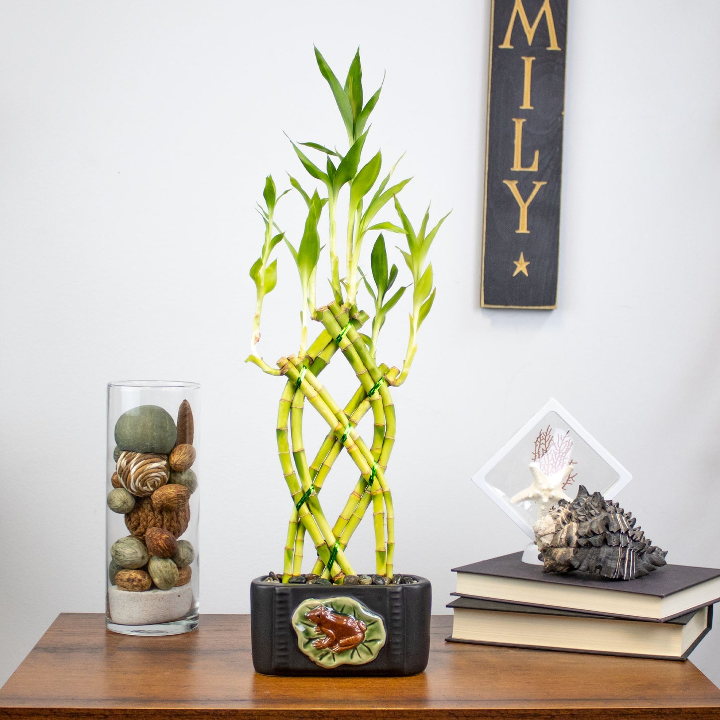 8-Stalk Trellis Lucky Bamboo Arrangement