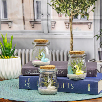 flamingo air plant holder Wholesale Mini Mixed Flamingo Air Plant Terrarium for Florists Stores – NW Wholesaler