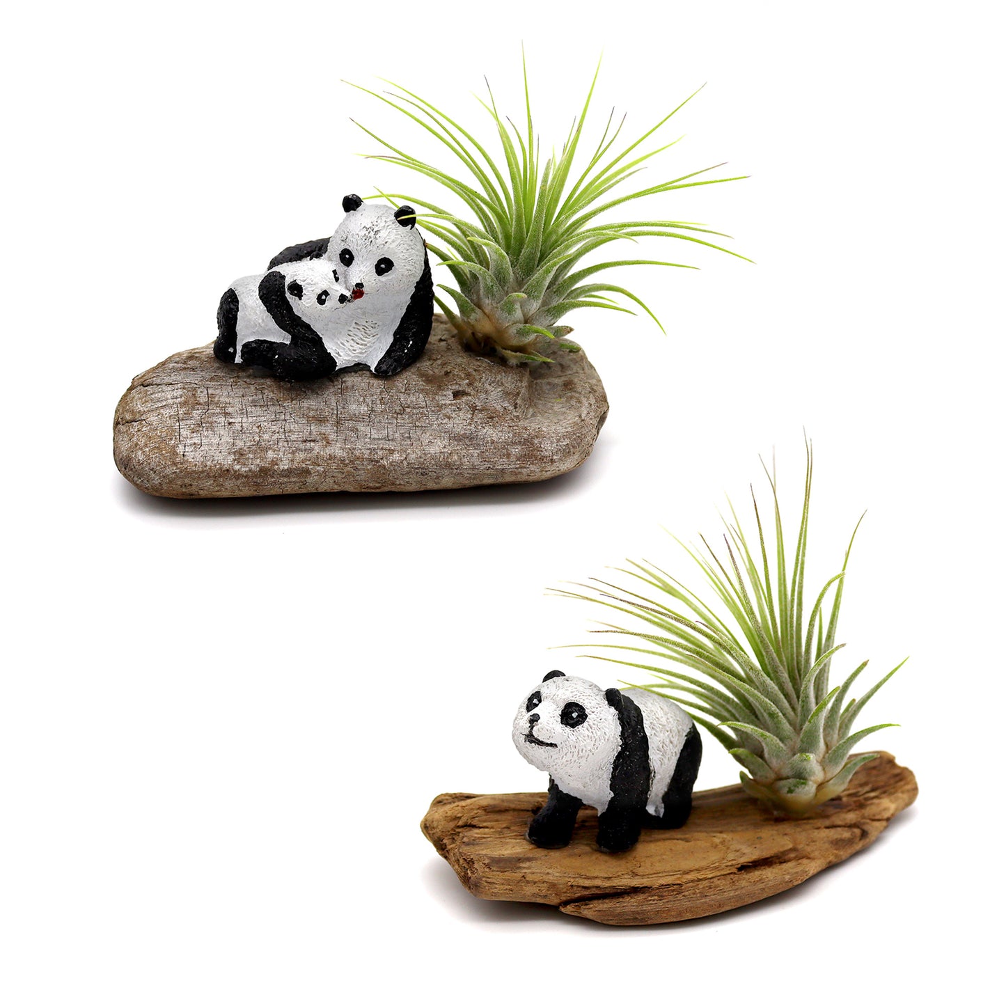 Mini Panda Driftwood Garden