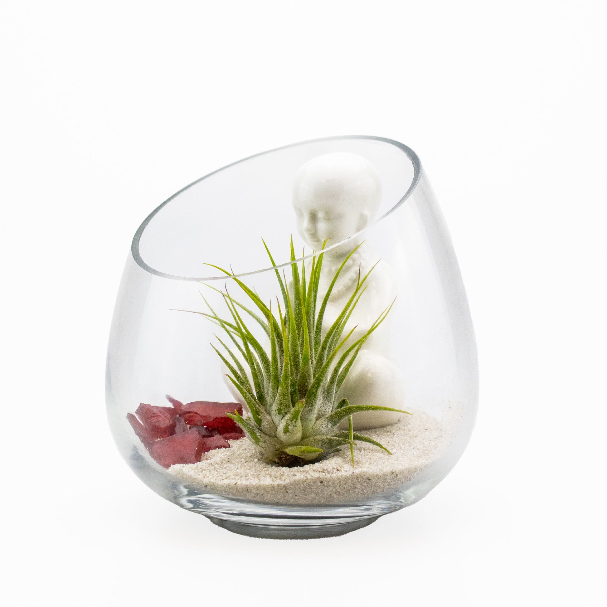 zen glass air plant sculptures Set of 24