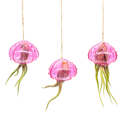 jellyfish air plant holder Set of 3 Hanging Glass Sea Urchin Jellyfish Arrangement
