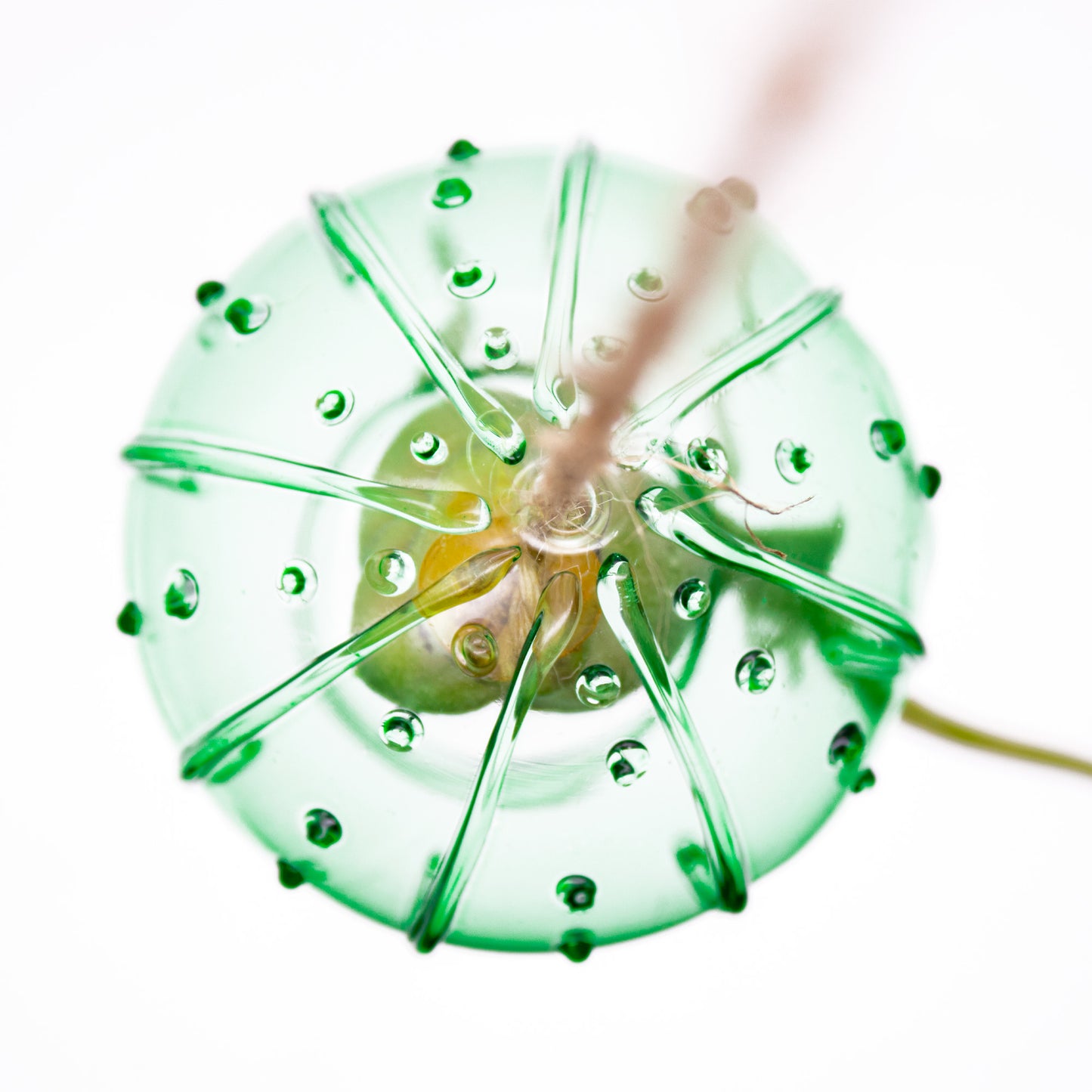 Sea Urchin Glass Ornament for DIY Hanging Plant Arrangements