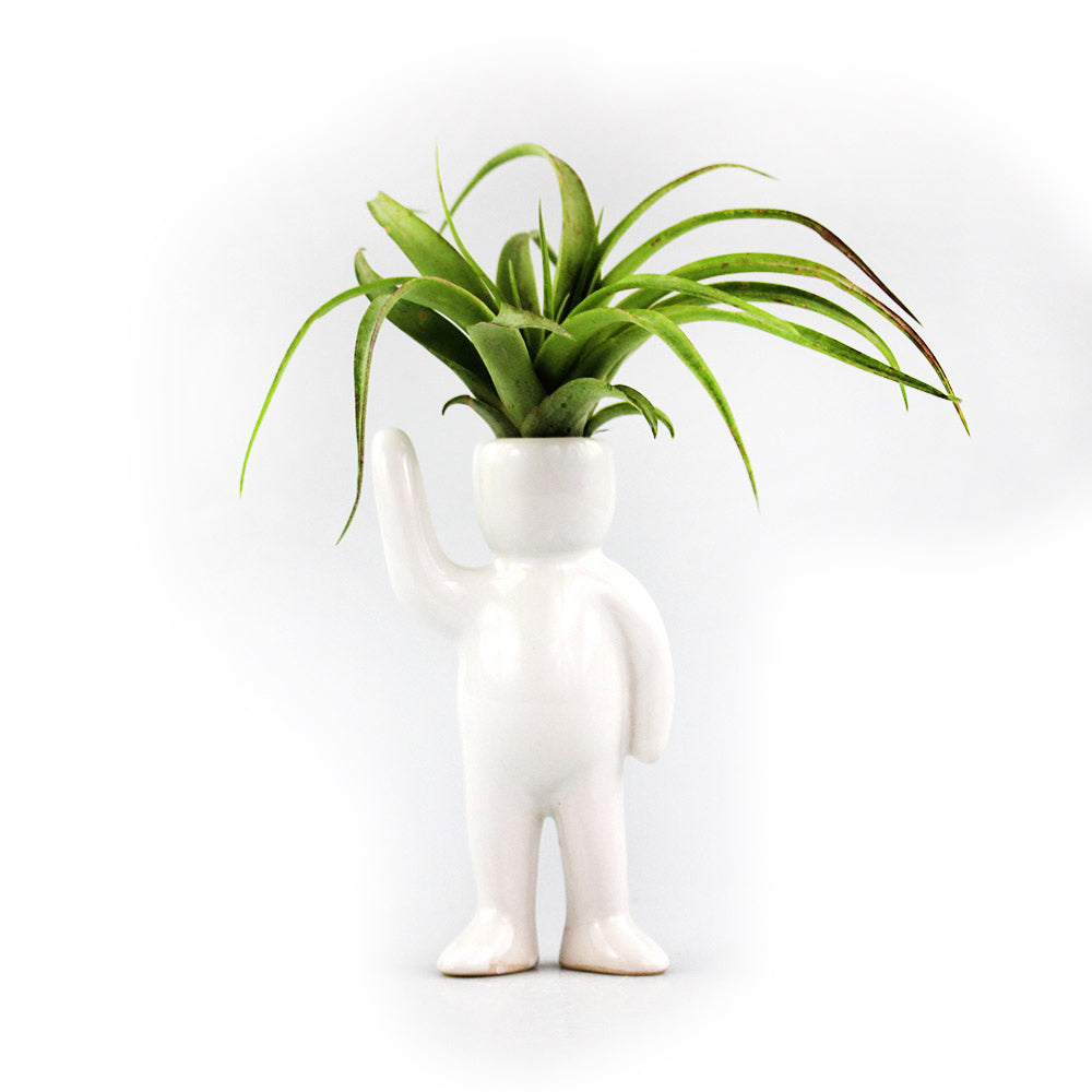 "Greeting Person" Air Head White Ceramic Pot - Air Plant Holder, Succulent, Cactus Planter