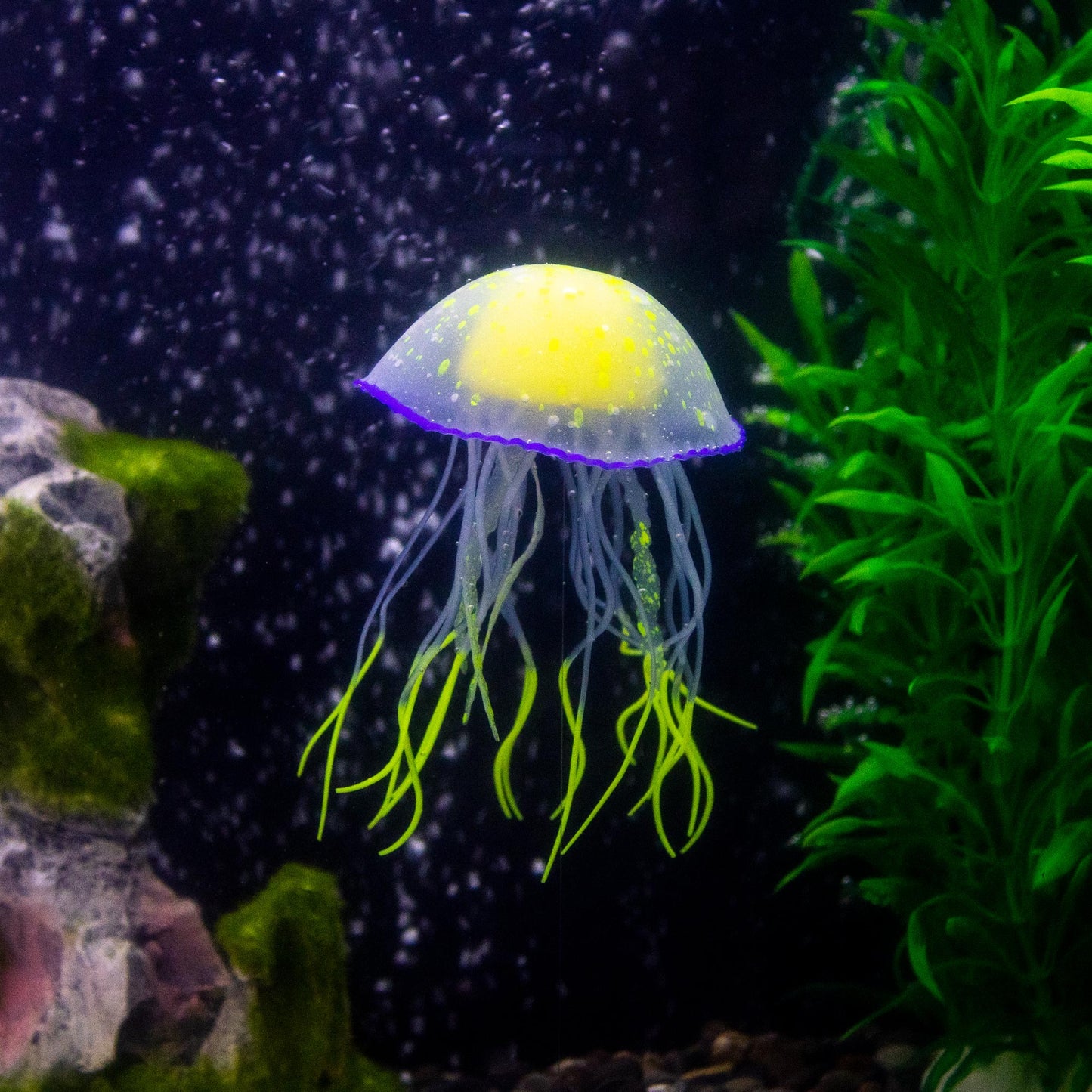 Jellyfish for Fish Tanks, Aquariums, and Fish Bowls - Multiple Colors